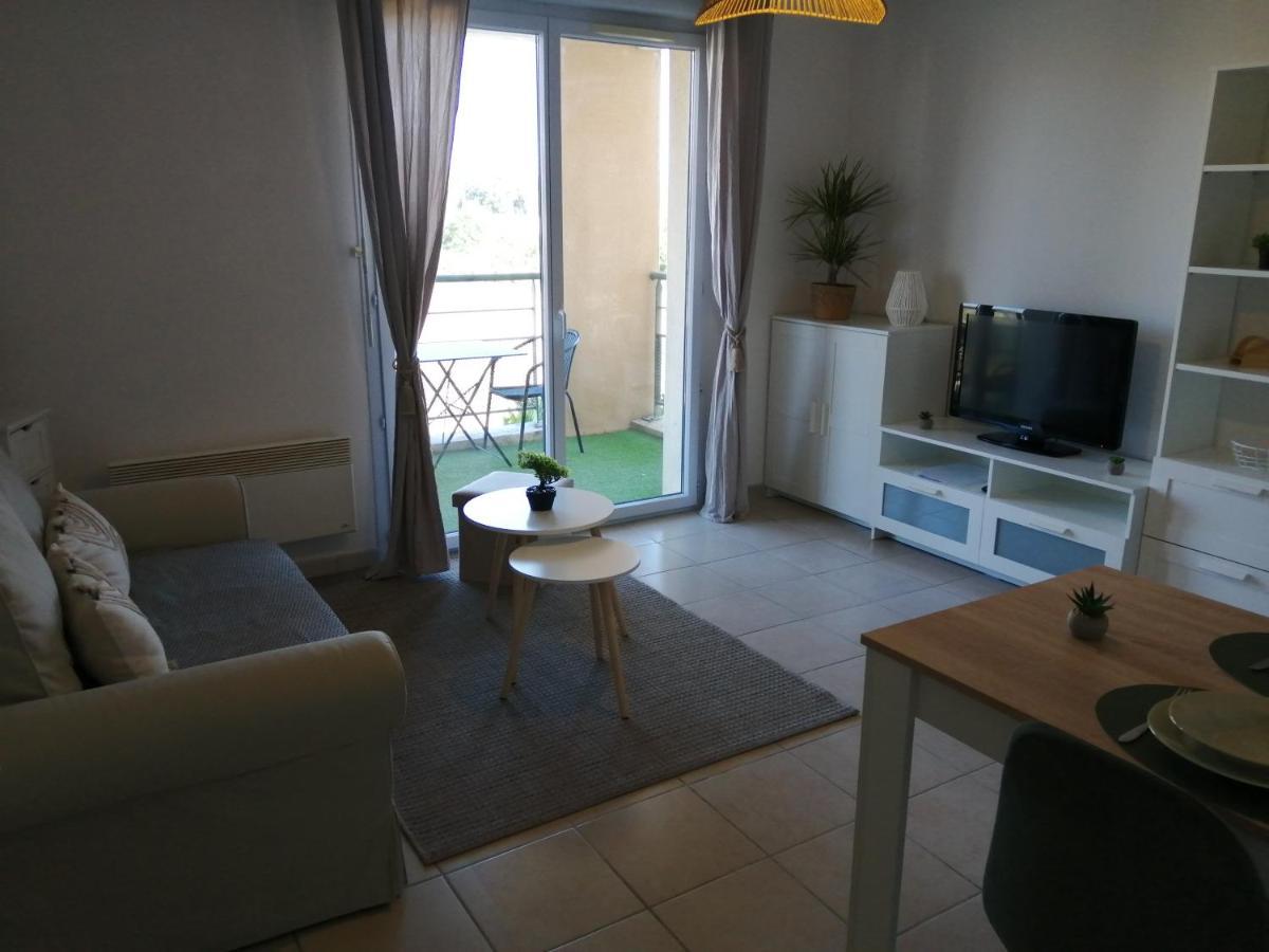Apartament Le Cocon De Marie,Piscine, Balcon, Parking Gratuit, Baignoire Carcassonne Zewnętrze zdjęcie