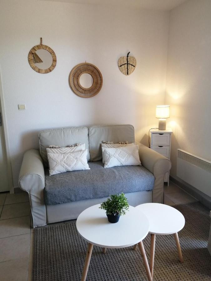 Apartament Le Cocon De Marie,Piscine, Balcon, Parking Gratuit, Baignoire Carcassonne Zewnętrze zdjęcie