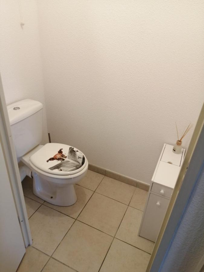 Apartament Le Cocon De Marie,Piscine, Balcon, Parking Gratuit, Baignoire Carcassonne Zewnętrze zdjęcie