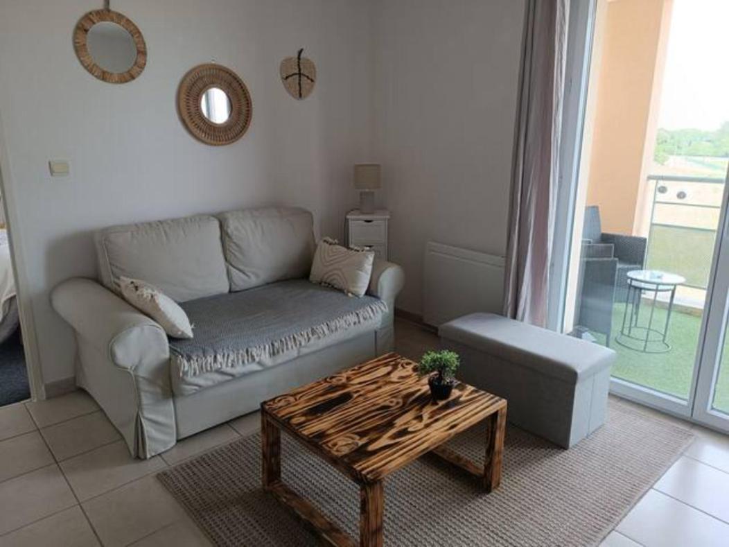 Apartament Le Cocon De Marie,Piscine, Balcon, Parking Gratuit, Baignoire Carcassonne Zewnętrze zdjęcie